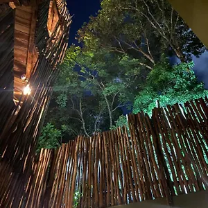 loba-tulum.quintano-roohotels.com/